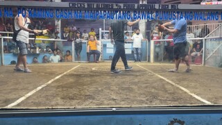 3x winner melsim black - lipa city sport complex ( 2 hits ulutan )