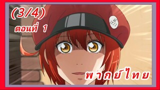 เซลล์ขยัน พันธุ์เดือด ตอนที่ 1 [พากย์ไทย] (3/4)