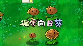 凋零向日葵，向日葵面临脱发危机！
