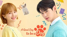 A GOOD DAY TO BE A DOG EP. 5 & 6 [SUB INDO] 720P