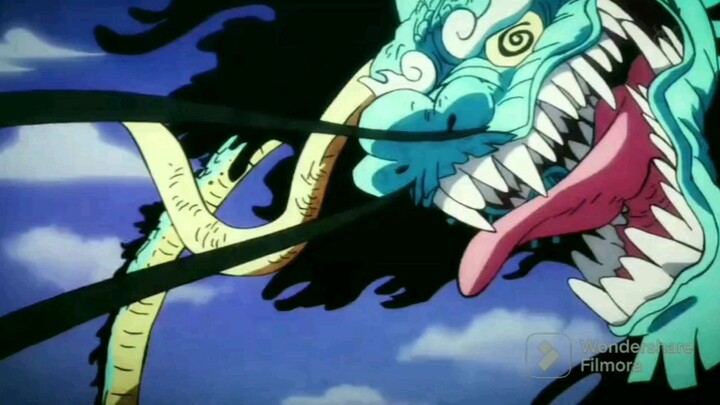 One piece..NIKA VS BELUT SAWAH