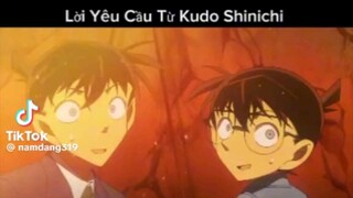 Lời yêu cầu từ Kudo Shinichi