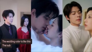 The wedding color is like (ซับไทย)