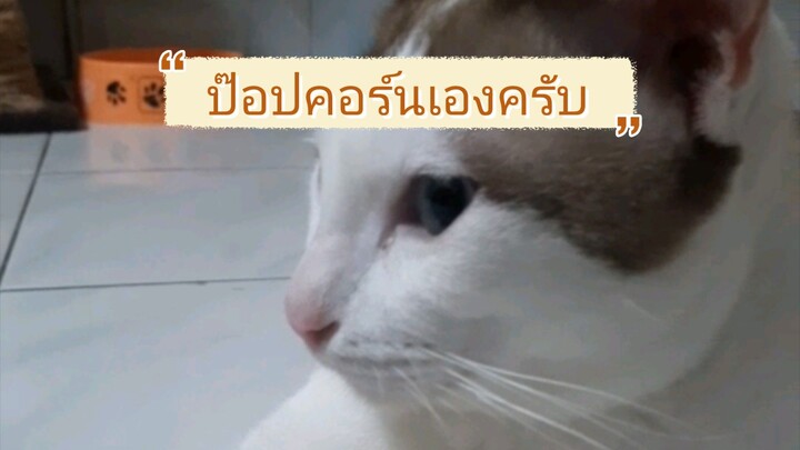 ป๊อปคอร์นเองครับ