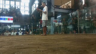 1st fight 2nd entry 2 hits ulutan in BINAKAYAN COCKFIGHT Handler Crispin / Boss Bunso