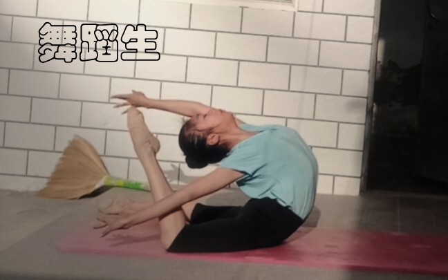 我也是鸟群中的一只，所有人都是在荒凉的不毛之地上飞翔不息的鸟儿