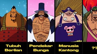 Semua KEKUATAN Bajak Laut WHITEBEARD | Dimana Mereka Sekarang?