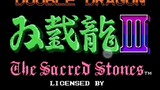 Double Dragon III The Sacred Stones (USA) - NES (Complete Longplay) Retro.NES