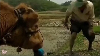 “คุณอยู่กับฉันตลอดชีวิตของฉัน และฉันจะอยู่กับคุณตลอดชีวิต”