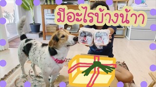 โลกของแสนดี ตอน เปิดกล่องของขวัญ