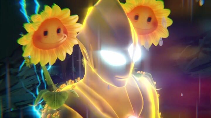 Sunflower Tiga