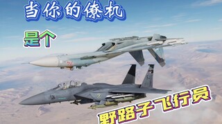 【DCS】当你的僚机是个“野路子”飞行员（21）