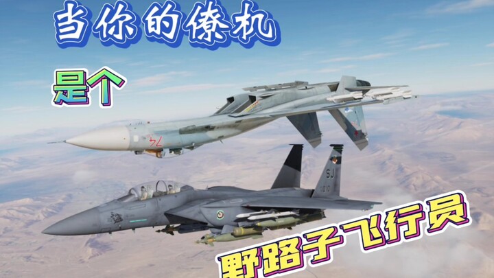 【DCS】当你的僚机是个“野路子”飞行员（21）