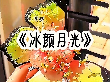 《冰颜月光》