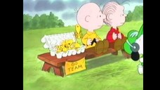 You're in the superbowl,Charlie brown