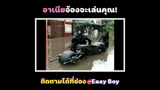 อาเนียจ้องจะเล่นคุณ #short #easyboy