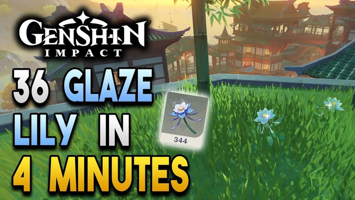 Glaze Lily Locations - Fast and Efficient - Ascension Materials -【Genshin Impact】