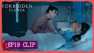 EP19 Clip | He Ran chooses love instead of her life! | The Forbidden Flower | 夏花 | ENG SUB