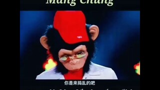Vương ca giấu mặt ## top bài hát cover hay nhất