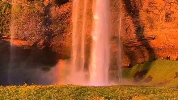 natural beauty