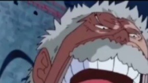 One Piece: Para pengamat tahu, siapa di dunia ini yang bisa memahami suasana hati Karp saat itu?