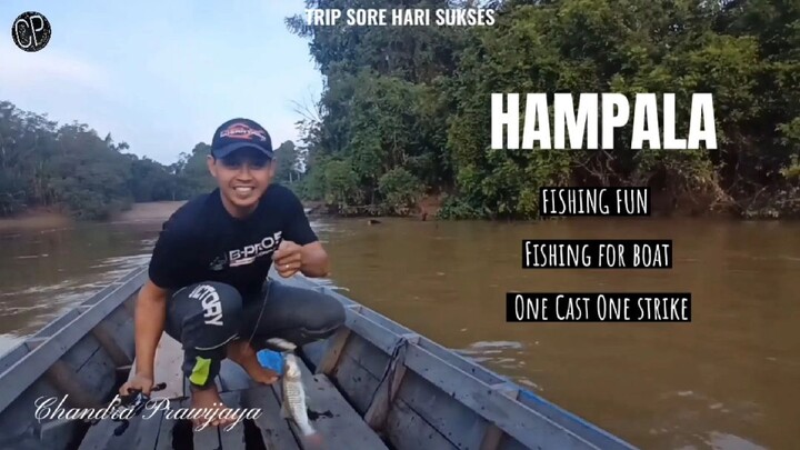 Casting Hampala arus deras Sungai Pengabuan