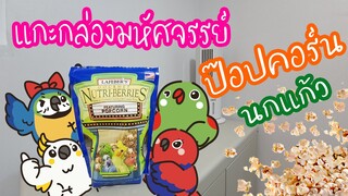 รีวิว : แกะกล่องมหัศจรรย์ " ป๊อป-คอร์น " มีจริงหรือ!?