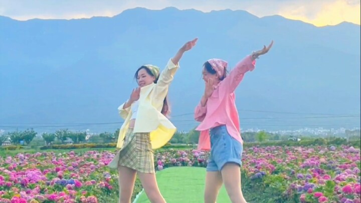 fate好适合云南转场哦