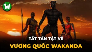 Mọi Thứ Bạn Cần Biết Về Vương Quốc Wakanda | Black Panther