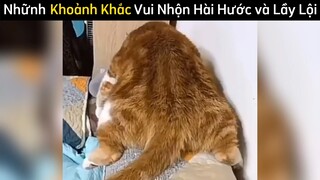 Những khoảnh khắc vui nhộn hài hước và lầy lội phần 2