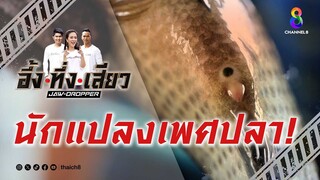 นักแปลงเพศปลา! | อึ้ง ทึ่ง เสียว