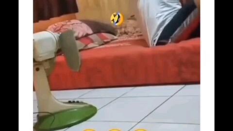 ada yg senasib?🤣