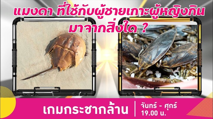 คำว่า "แมงดา" ที่ใช้กับผู้ชายเกาะผู้หญิงกิน มาจากแมงดาทะเล หรือ แมงดานา ? | เกมกระชากล้าน ซีซั่น 2