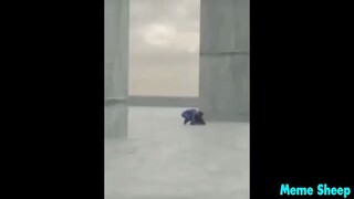 Bruh.