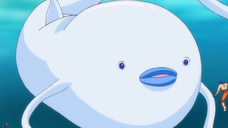 After the guy caught 10 puffer whales, he accidentally poisoned 9 of them and lost 9 billion US doll