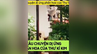 Câu chuyện dị ứng phấn hoa của Thư ký Kim và cái kết ảo tưởng của Phó chủ tịchDanet BHDGTHQ WhatsWrongWithSecretaryKim ThuKyKimSaoThe ParkSeoJoon ParkMinYoung