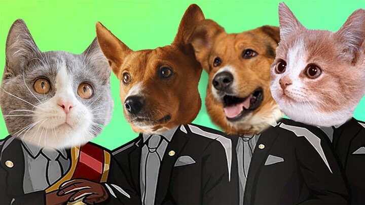 Funny Cat And Dog - AStronomia Coffin Dance Song ( Cover )