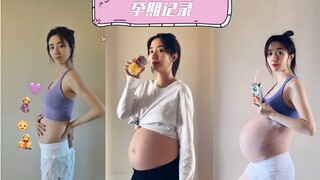 孕期每周记录｜Pregnancy Transformation Week By Week Progress