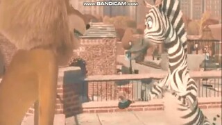 Madagascar - Marty Gift Scene