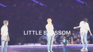 BTS Live performance