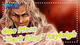 [One Piece] People's Reactions When Meet "Dark King" Rayleigh