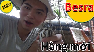 [Hùng Hunter]- Besra mới, thua keo này ta bày keo khác.