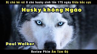 [Review Phim] Bị Chủ Bỏ Rơi 8 Chú Husky Sinh Tồn 175 Ngày Giữa Bắc Cực | Eight Below