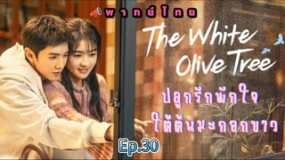 Episode 30