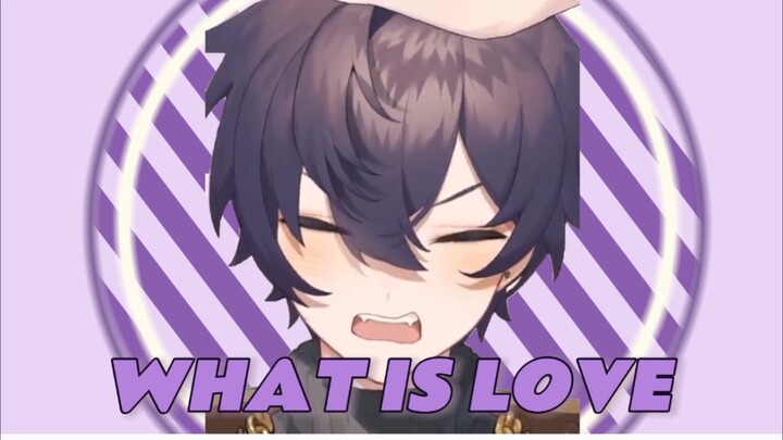 SHOTO☆丨可爱小狗的WHAT IS LOVE？！