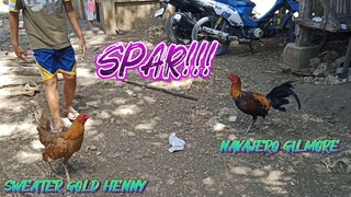 SWEATER GOLD HENNY VS NAVAJERO GILMORE SPAR!!       JRP BACKYARD