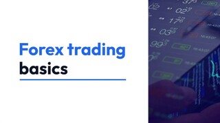 Forex trading basics