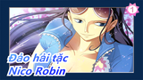 [Đảo hải tặc/AMV] Nico Robin---  Rất vui được gặp các bạn_1