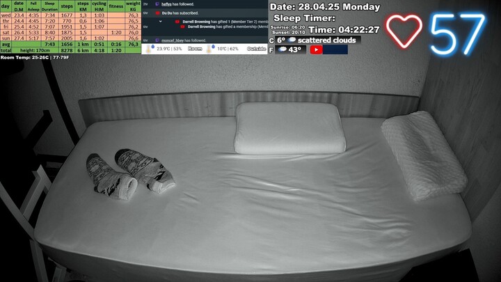 Sleep Stream 28.04.2025