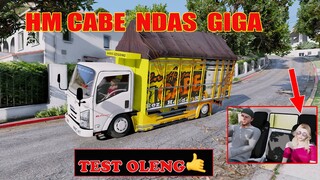 TEST TRUK HM CABE KEPALA GIGA BAWA CEWEK